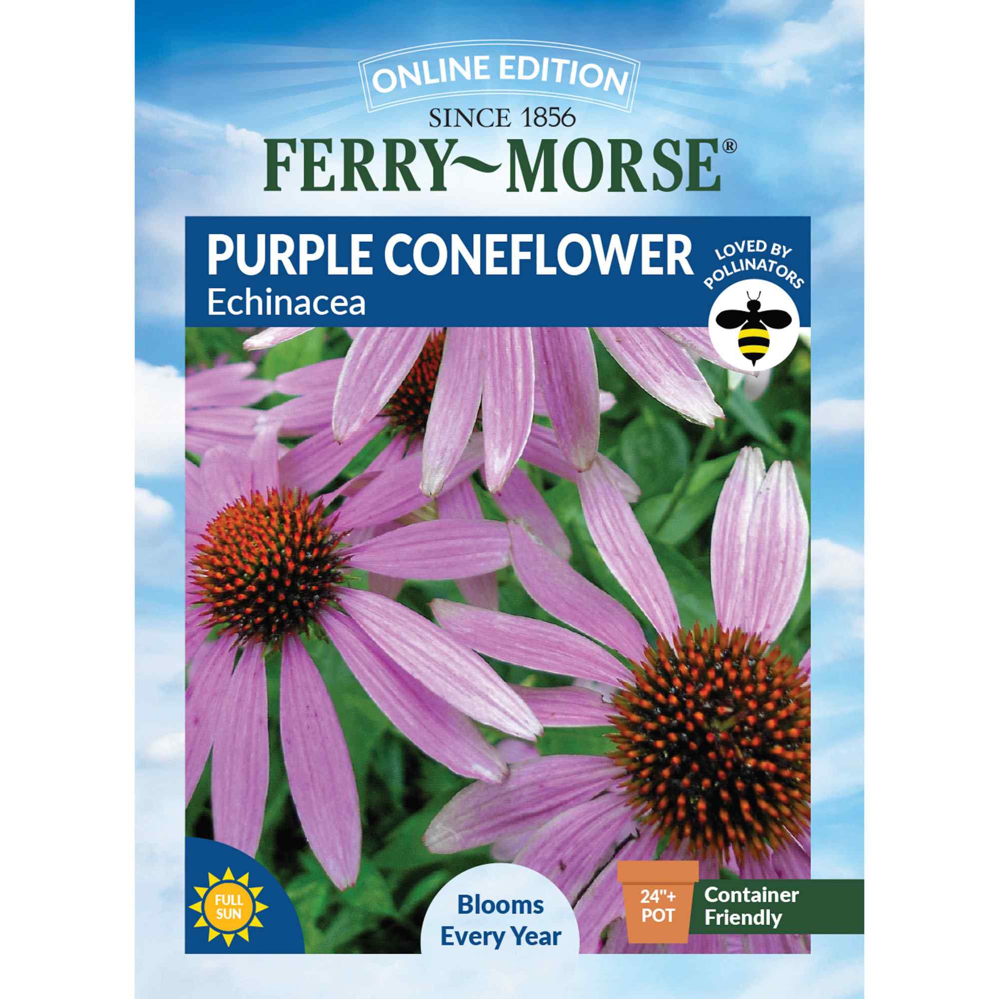 purple coneflower front of packaging